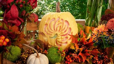 Video thumbnail: J Schwanke’s Life In Bloom Autumn Harvest