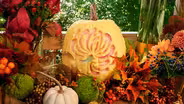 Autumn Harvest