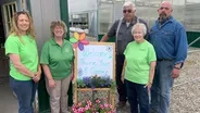 Growing Plants – It’s A Family Affair