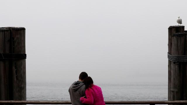 What the 'bird theory' test may reveal about relationships