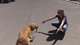 Video thumbnail: KRWG Newsmakers Newsmakers 1114, May 23, 2019