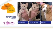 11/07/2024 | Little Tori, Little Michael and Baxter | Mark's Furry Friends | Web Extra