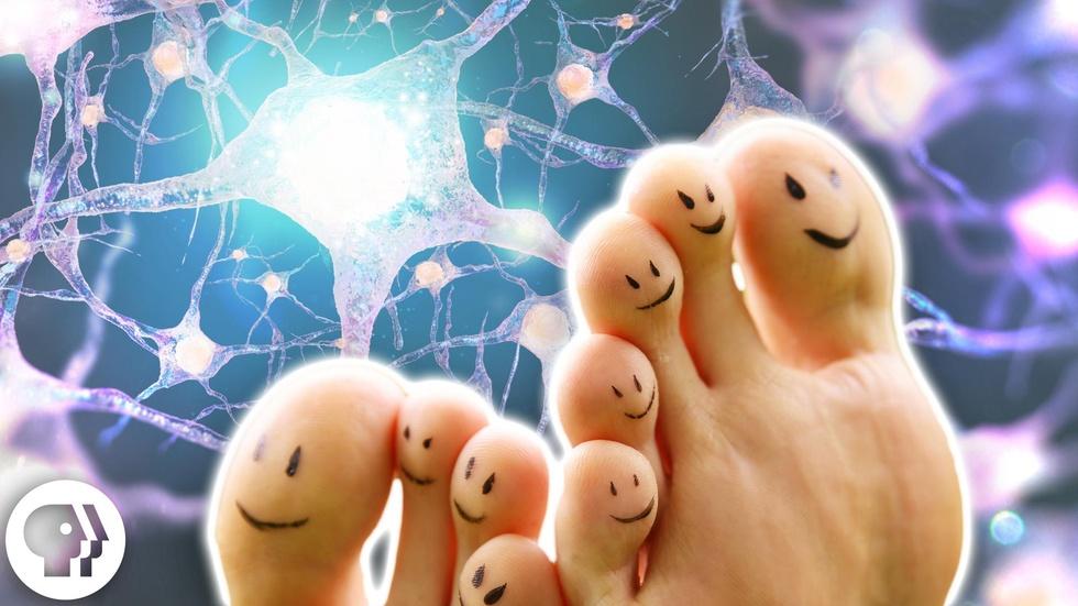 Wiggle Your Big Toe image