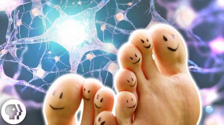 Video thumbnail: BrainCraft Wiggle Your Big Toe