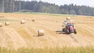 Why Quality Hay May Be Hard To Find This Winter