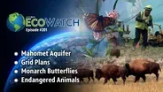 S02 E01 Mahomet Aquifer | Grid Plans | Monarch Butterflies | Endangered Animals