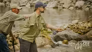 Tennessee Life - 507 - Volunteer Veterans