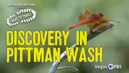 Pittman Wash Trail