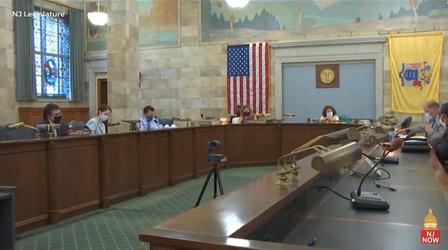 Video thumbnail: NJTV News Senate committee advances police reform bills