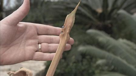 Video thumbnail: The Wisconsin Gardener The First Gardens