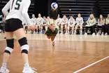 2023 AA Volleyball | SFJ vs. Brandon Valley