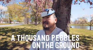 A Thousand Pebbles on the Ground