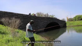 Fishermen Cast Away from Chicago’s Lakefront