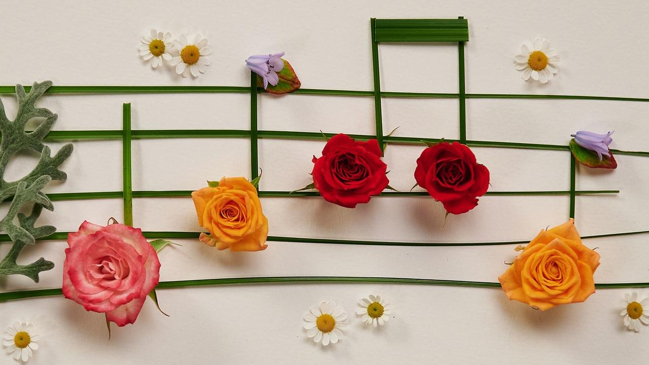 J Schwanke's Life In Bloom | Waltz of the Flowers