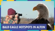 Bald Eagle Tours