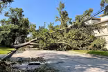 News Wrap: Power outages after storm leave many frustrated