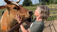 Michigan Barn Sanctuary gives second chance to farm animals