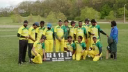 Cricket