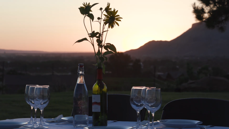 Colorado Shoe School + Wine + Shakespeare + Driving Dreams
