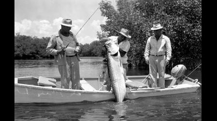 Video thumbnail: Untold Stories The Fisherfolk of Southwest Florida