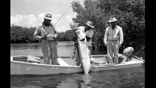 The Fisherfolk of Southwest Florida