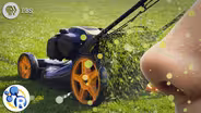 That Fresh Cut Grass Scent is Really a Signal of Distress