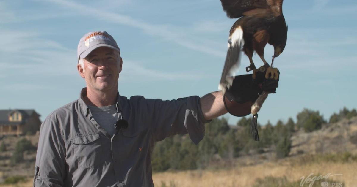Outdoor Nevada | Raptor Adventures | Season 2 | Episode 2 | PBS