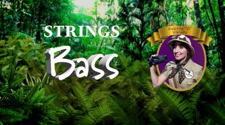 Video thumbnail: TSO Symphonic Safari Adventure! Double Bass: Meet George, the bassist!