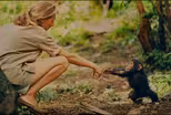 Documentary gives new look at Jane Goodall’s early research