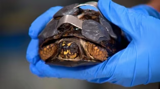 Wildlife Center of Virginia / Memorial to Enslaved Laborers