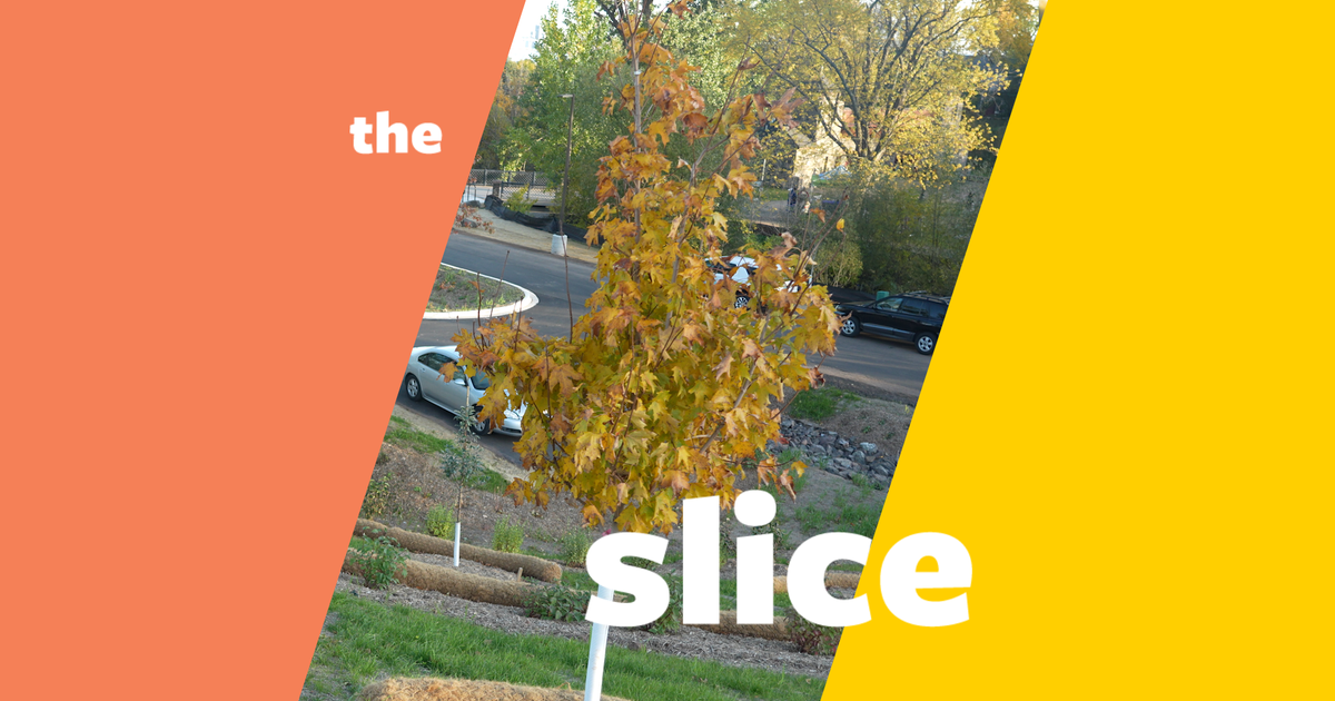 The slice | lincoln park is now open | season 2023