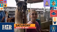 Fair 2025 – Saturday, August 16