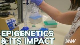 Video thumbnail: xConnect Northwest Epigenetics and How It Effects The Next Generation