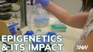Epigenetics and How It Effects The Next Generation