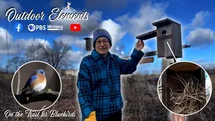 On the Trail for Bluebirds
