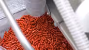 Could Antiviral Pills Change the Course of the Pandemic?