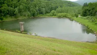Hone Quarry Dam