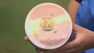 Deep Frydays: Fry the Rainbow