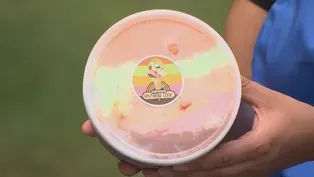 Deep Frydays: Fry the Rainbow