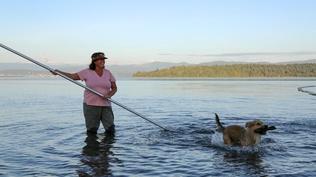 Scha'nexw Elhtal'nexw Salmon People: Preserving a Way of Life