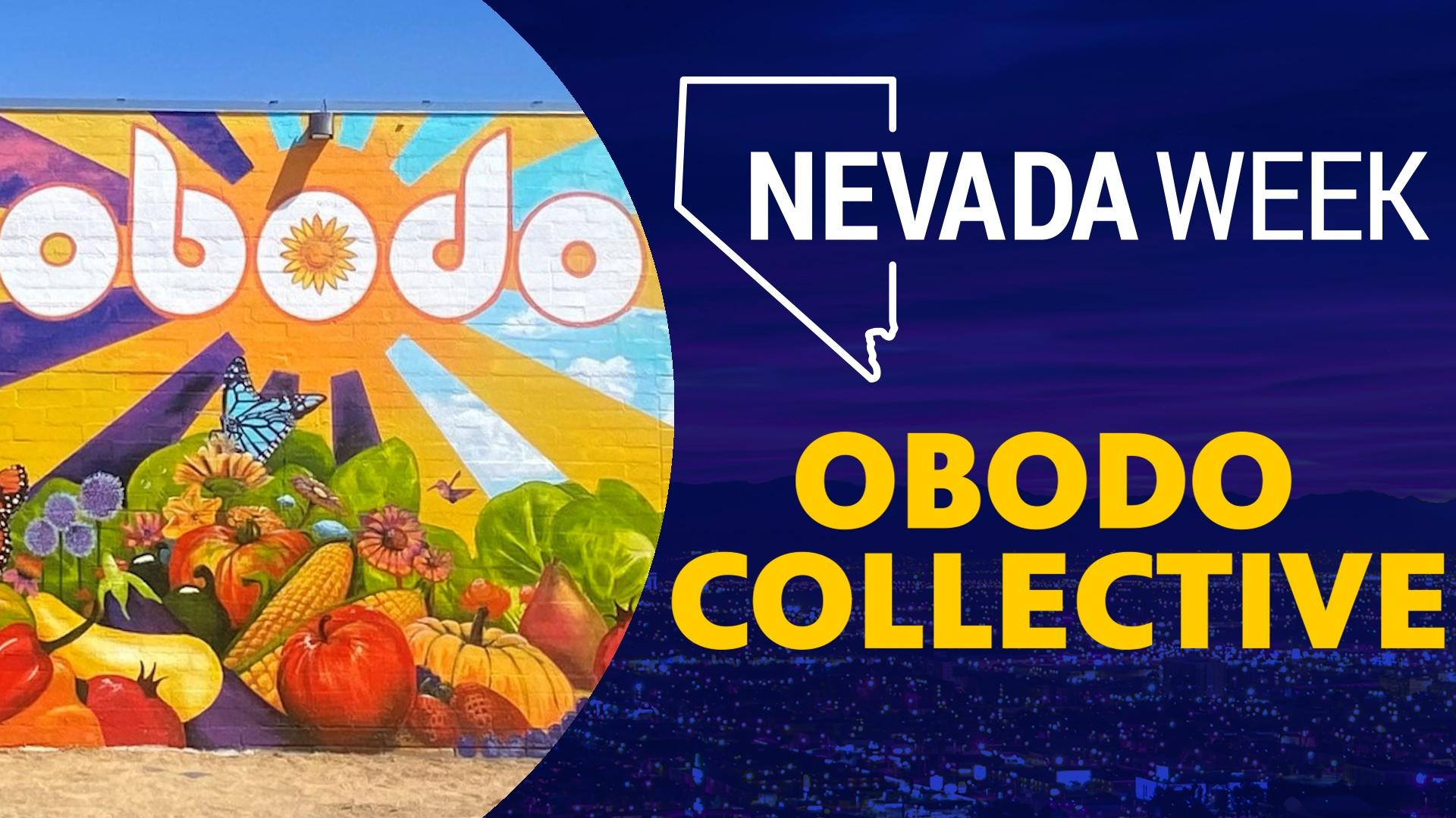 Obodo Collective