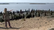 Landscape architect's goal of nature-based infrastructure