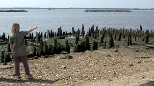 Landscape architect's goal of nature-based infrastructure