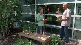 Video thumbnail: The Family Plot pH & Hummingbirds