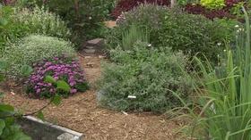 Video thumbnail: Backyard Farmer Backyard Farmer: Edible Landscapes