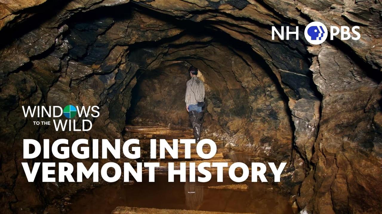 Windows to the Wild | Digging Into Vermont History