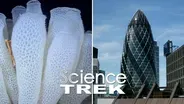 Biomimicry: Nature and Architecture