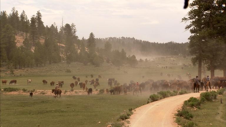 Thumbnail for America's Heartland Season 19 Episode 8