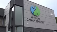 KEYSTONE CANNA