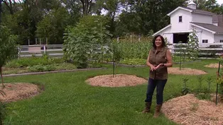 Hanging Out With Jeanne Nolan in Her ‘Happy Place’